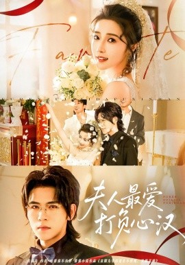 夫人最爱打负心汉海报