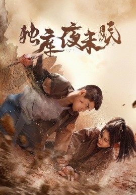 独库夜未眠海报