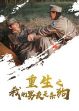 重生之我的男友是条狗海报