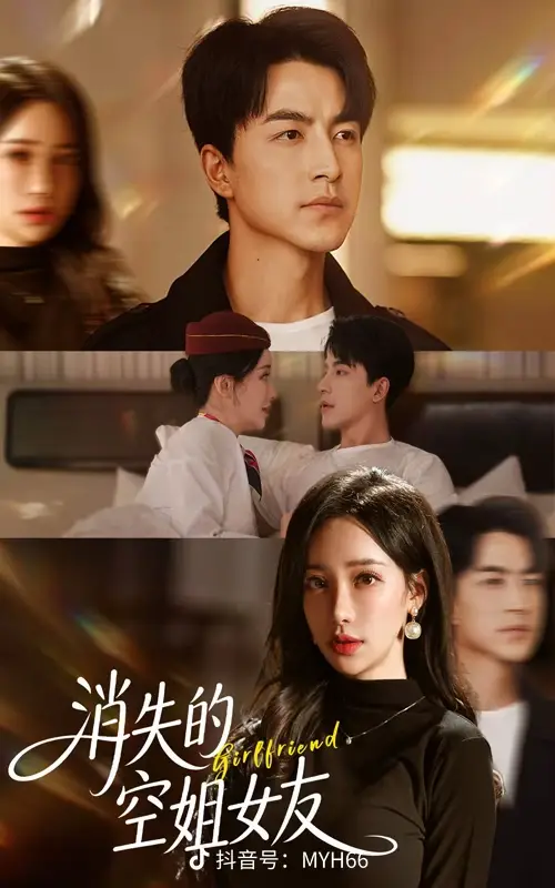 消失的空姐女友海报