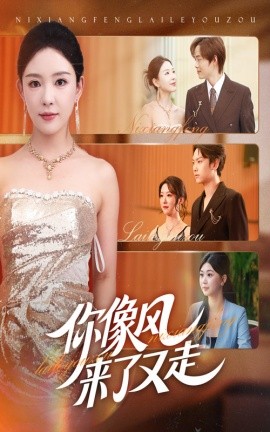 你像风来了又走海报