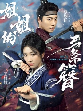 姐姐的三条簪海报