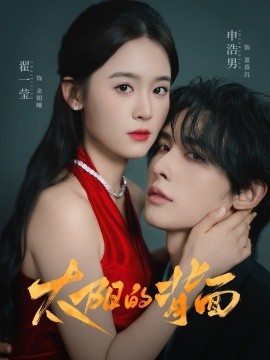 太阳的背面海报