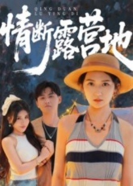 情断露营地海报