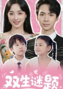 双生谜题海报