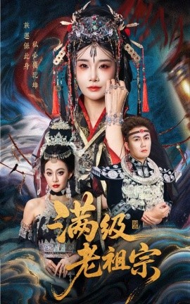 满级老祖宗海报