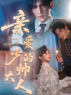 亲爱的少帅大人海报