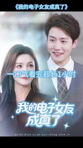 我的电子女友成真了海报