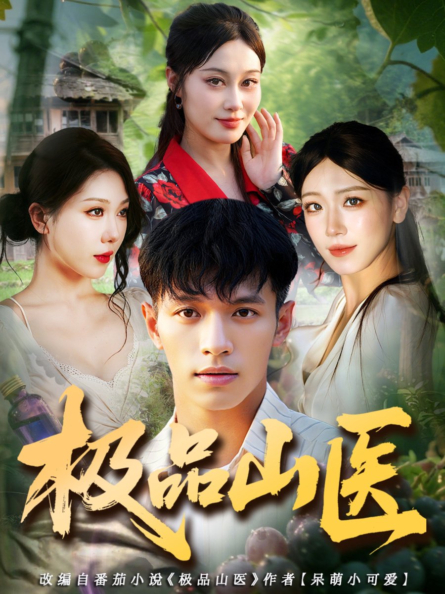 极品山医海报