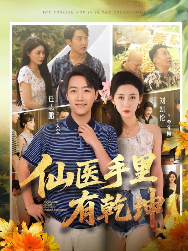 仙医手里有乾坤海报