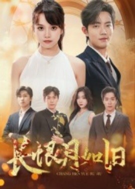 长恨月如旧海报