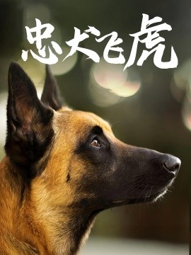 忠犬飞虎海报