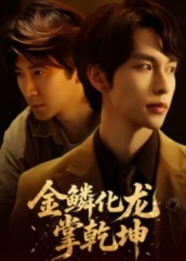 金鳞化龙掌乾坤海报