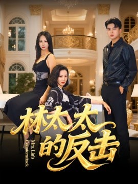 林太太的反击海报