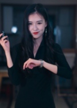 制裁者的游戏海报