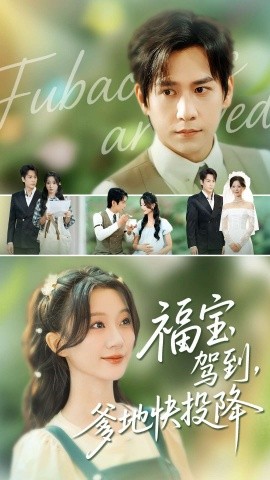 福宝驾到，爹地快投降海报