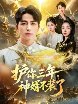 护你三年，神婿不装了海报