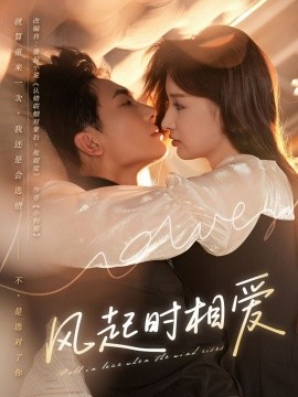 风起时相爱海报