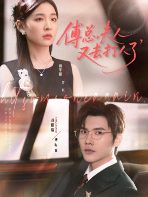 傅总夫人又去打人了海报