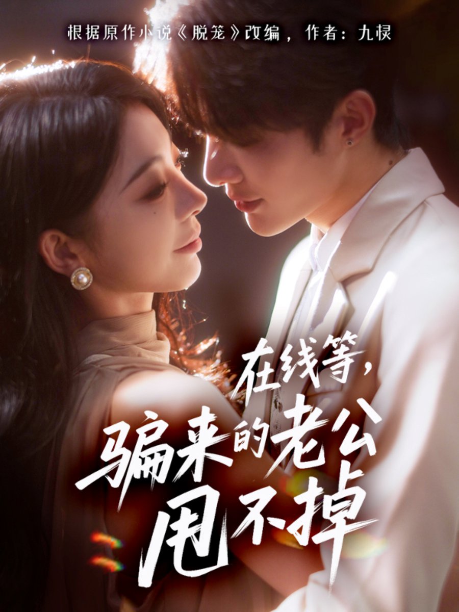 在线等骗来的老公甩不掉海报