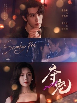 夺宠短剧版海报