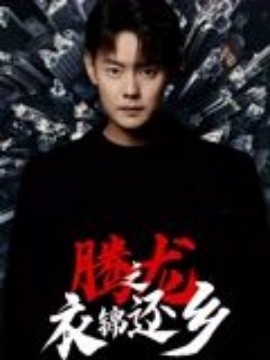 腾龙之衣锦还乡海报