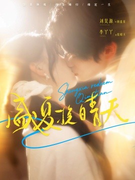 盛夏挽晴天海报