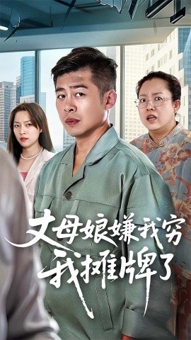 丈母娘嫌我穷我摊牌了海报