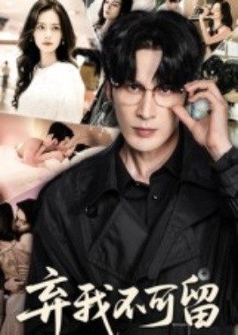 弃我不可留海报