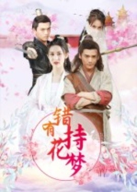 错有持花梦海报