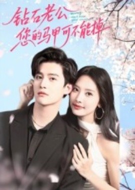 钻石老公，您的马甲不能掉海报