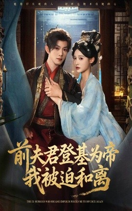 前夫君登基为帝我被迫和离海报