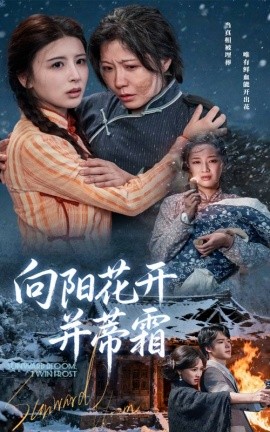 向阳花开并蒂霜海报