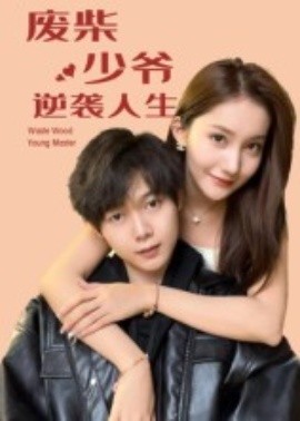 废柴少爷的逆袭人生海报