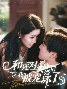 和死对头结婚后我被宠坏了海报