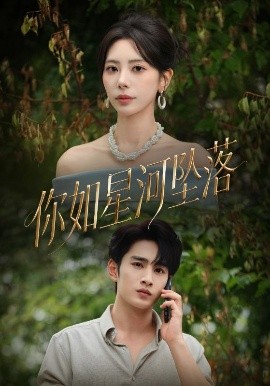 你如星河坠落海报
