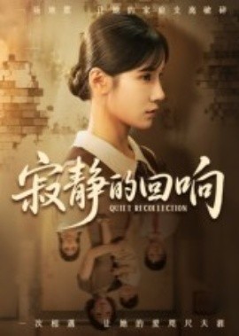 寂静的回响海报