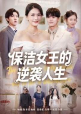 保洁女王的逆袭人生海报