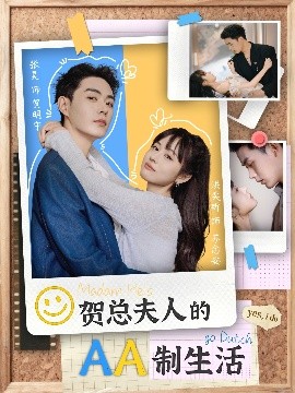 贺总夫人的AA制生活海报