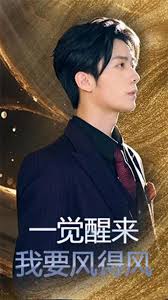 一觉醒来我要风得风海报
