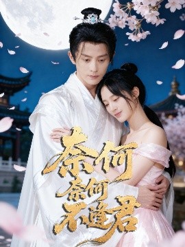 奈何奈何不逢君海报