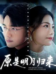 原是明月归来海报