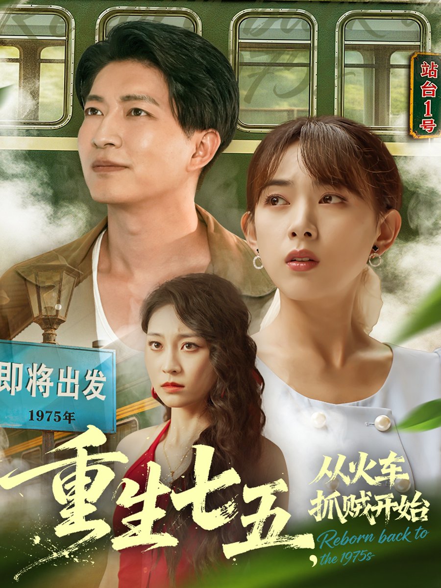 重生七五从火车抓贼开始海报