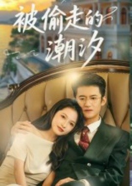 被偷走的潮汐海报