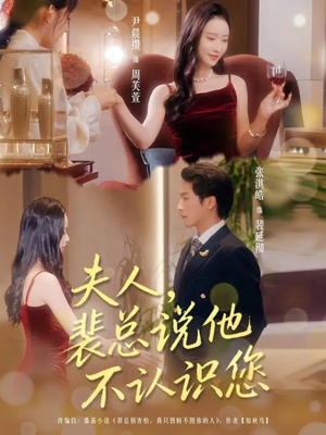 夫人裴总说他不认识您海报