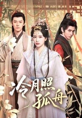 冷月照孤舟海报