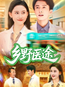 乡野医途海报