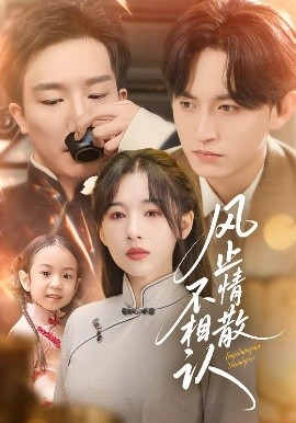 风止情散不相认海报