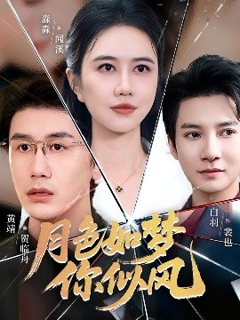 月色如梦你似风海报