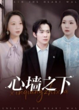 心墙之下海报